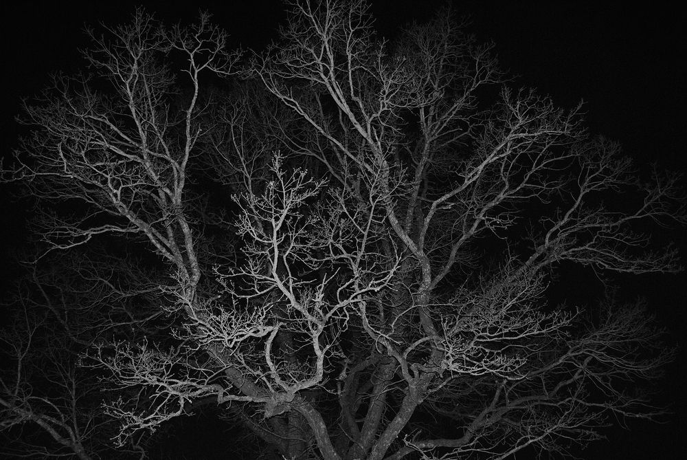 Photograph by Алексей