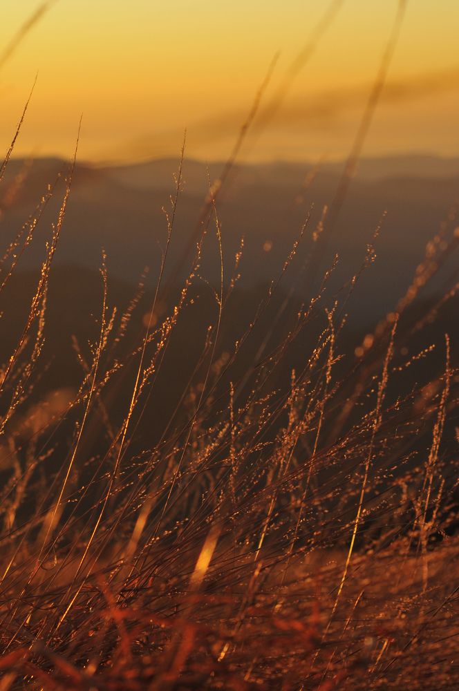 Photograph by Дерезюк Юрий Александрович