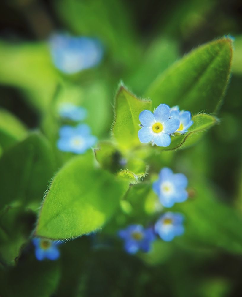 Photograph by Виктория Селютина