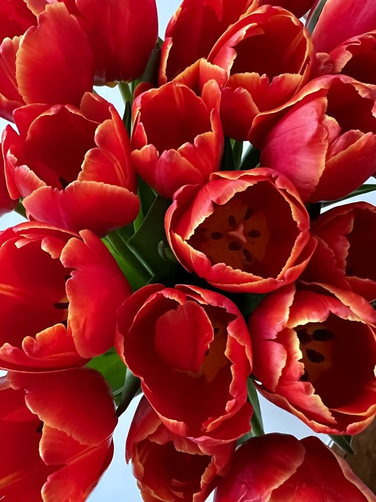 Photograph by Алексей Романов