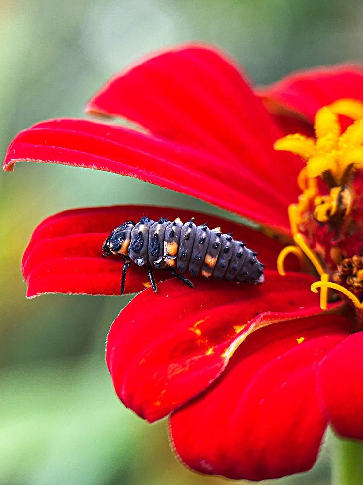 Photograph by Александра Гонтарь