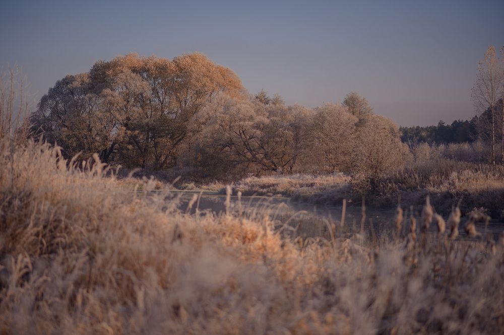 Photograph by Алиса Чечина
