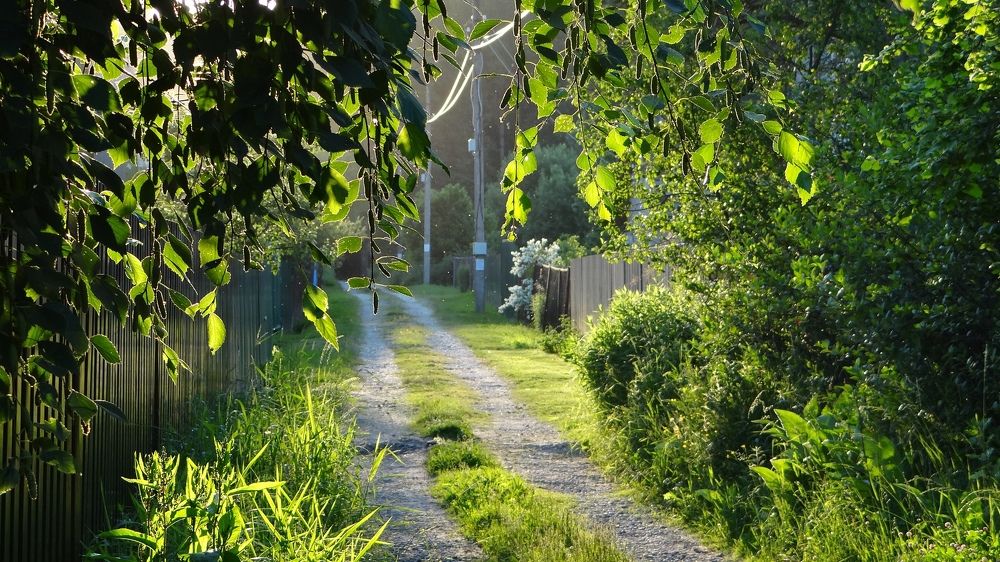 Photograph by Роман Трошин