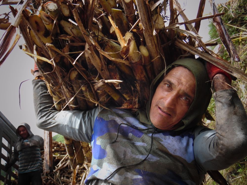 Photograph by Mario Alfonso Gudiño Dávila