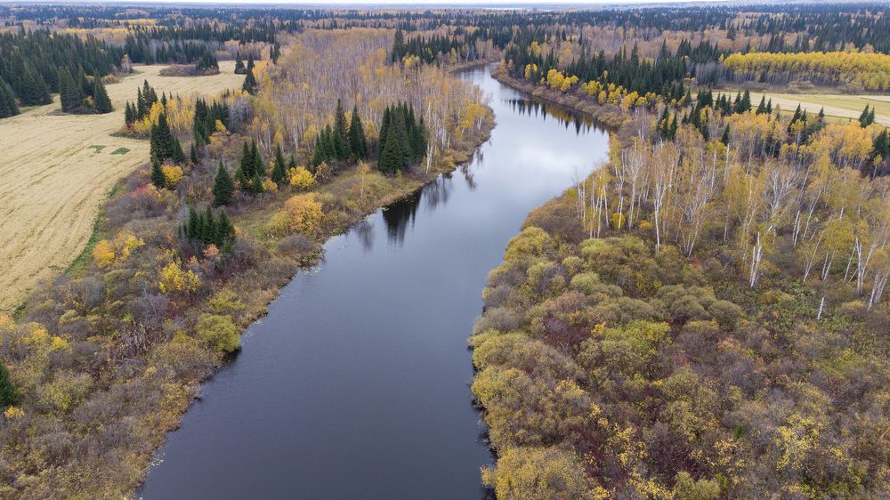Фотография автора Алексей Зайцев