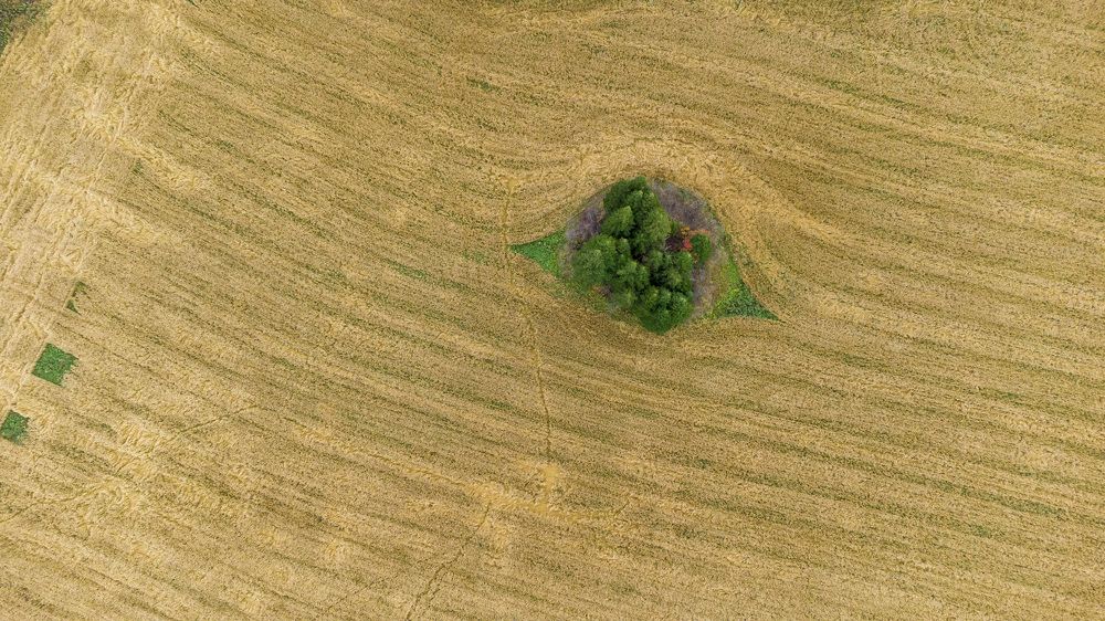 Фотография автора Алексей Зайцев