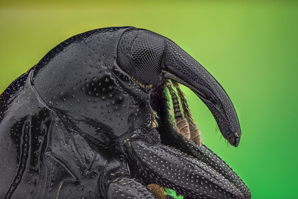 Photograph by Marco Retana