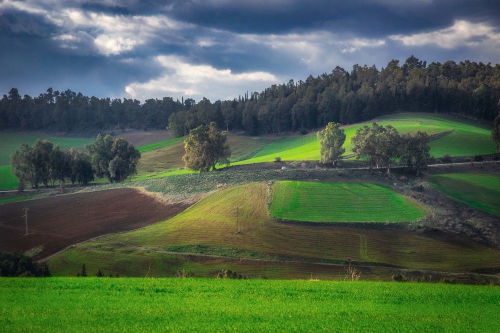 Photograph by Fehd Ghammit