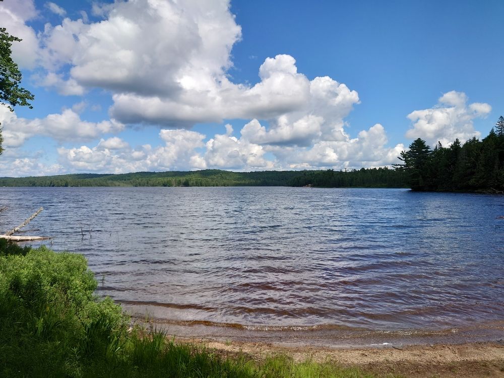 Photograph by AHMAD AL-HADDAD