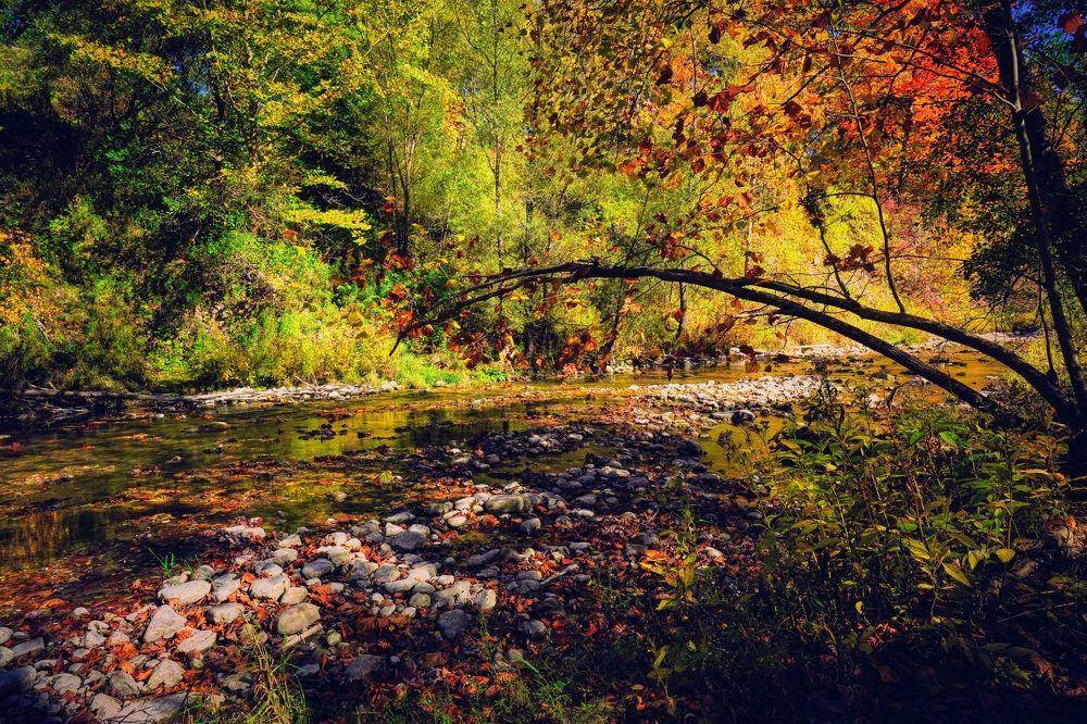 Photograph by AHMAD AL-HADDAD