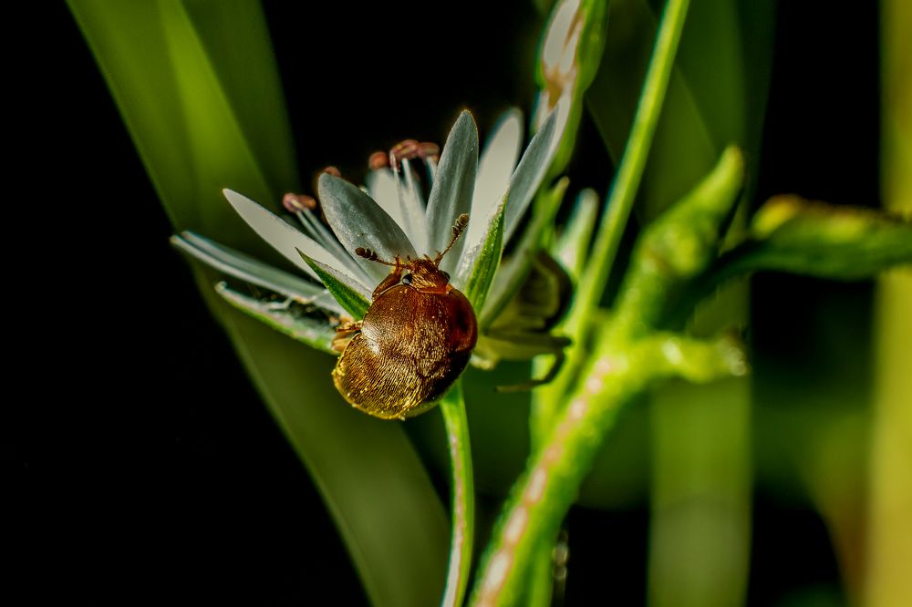 Photograph by Дмитрий Пасынков