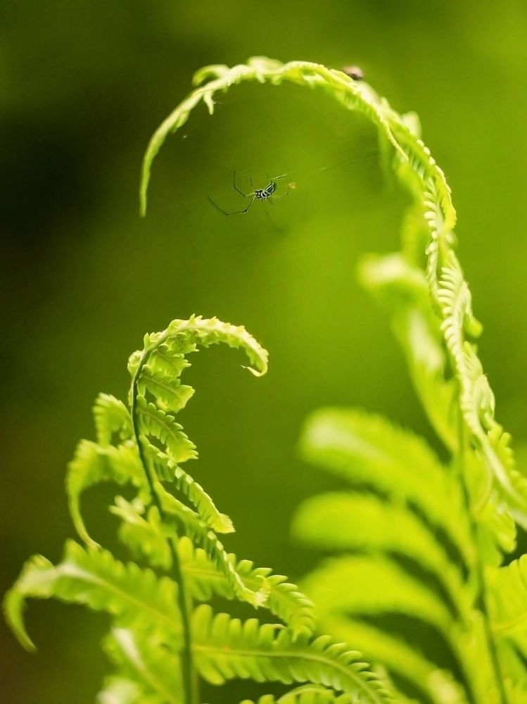 Photograph by Светлана Лехмус