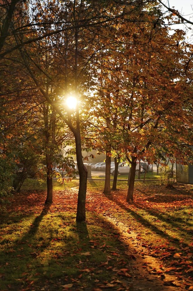 Photograph by Александр Кочергин