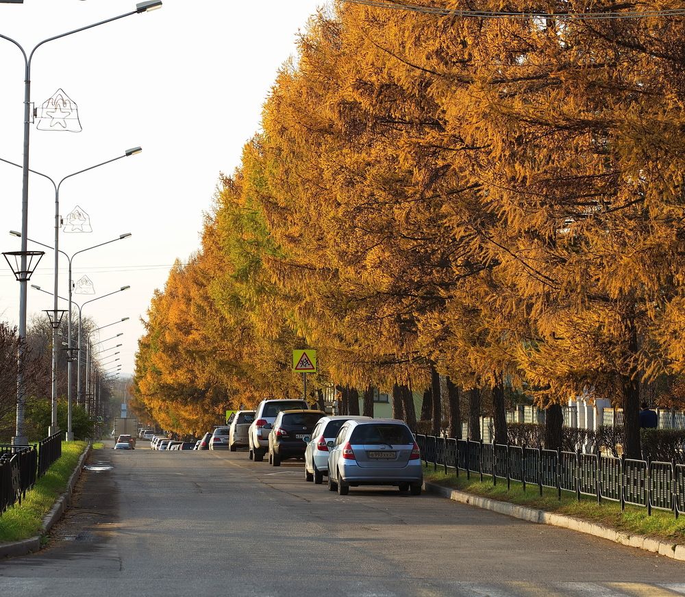 Photograph by Анатолий Васильев