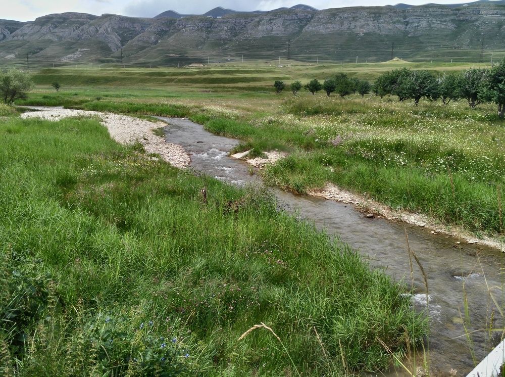 Photograph by Ирина Саттарова