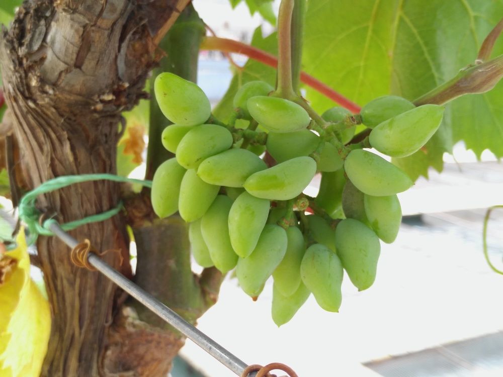 Photograph by Ирина Саттарова