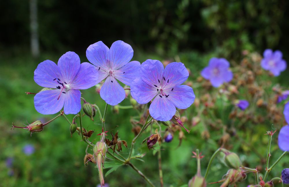 Photograph by Владимир Полотов
