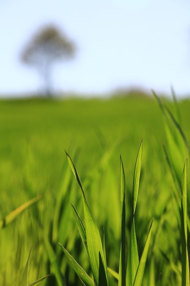 Photograph by Marziyeh Nasiri