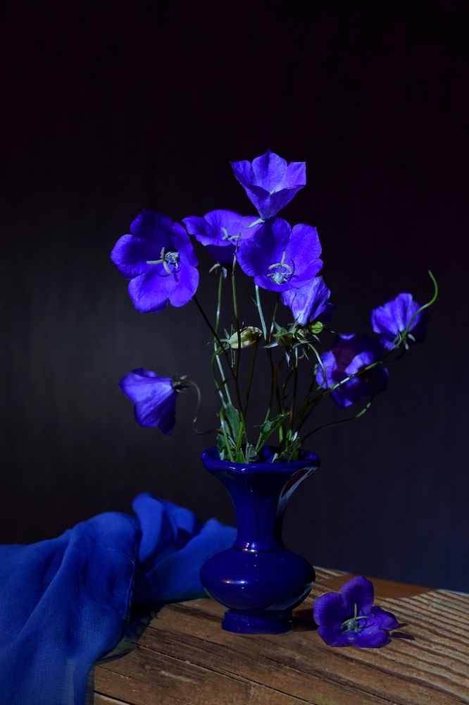 Фотография автора Оксана Льдинина