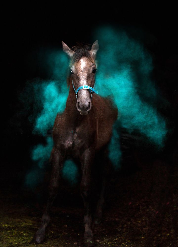 Photograph by Любовь Похабова