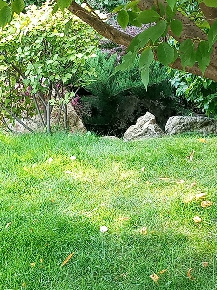 Photograph by Нина Гирнык