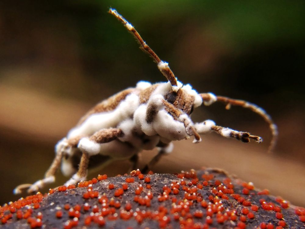 Photograph by dito adithia