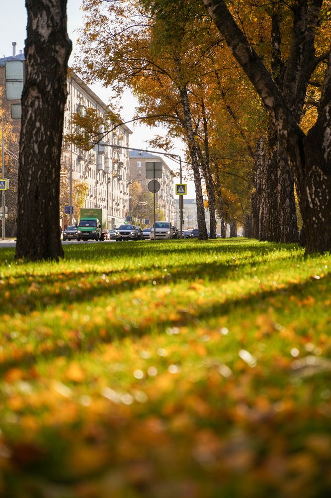 Photograph by Александр Кочергин