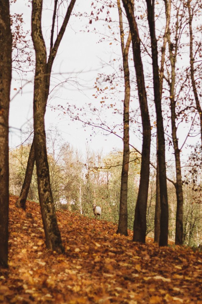 Photograph by Ульяна Кухновец