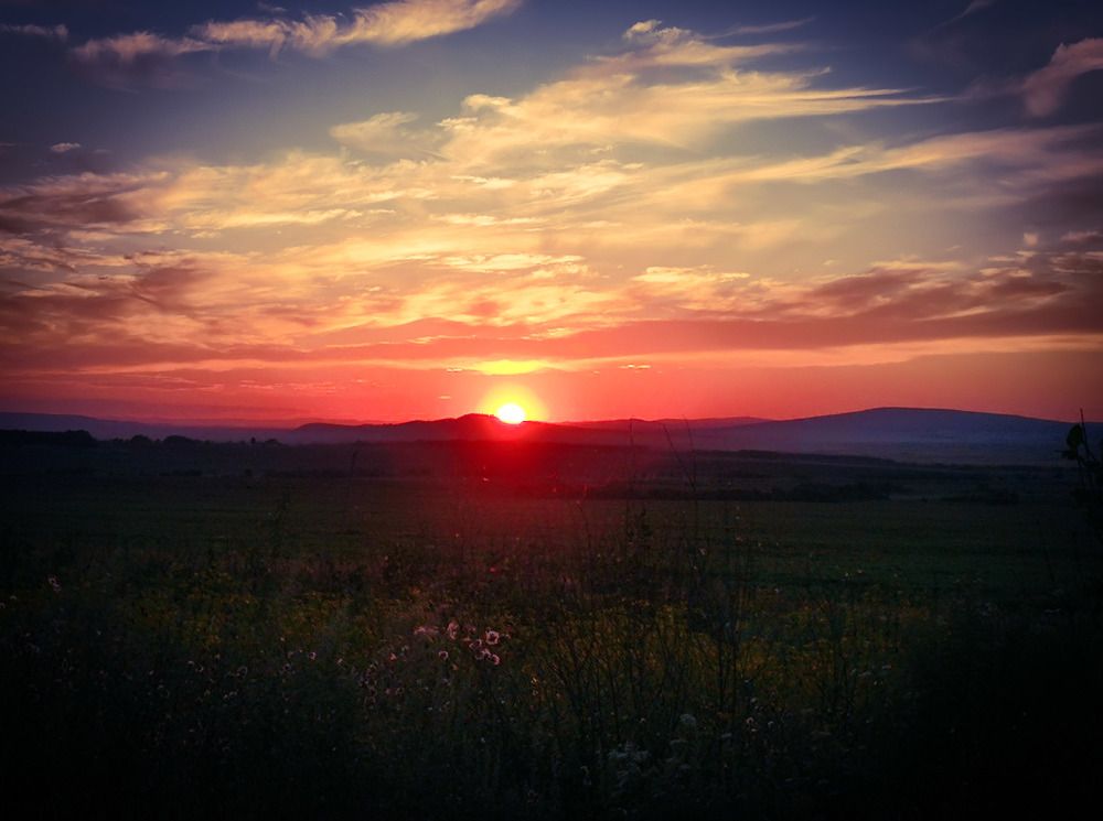 Photograph by Олеся Пучковская