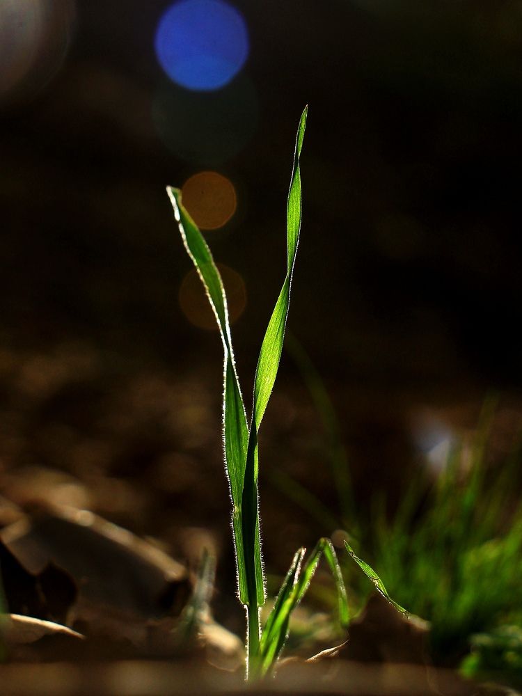 Photograph by Marziyeh Nasiri