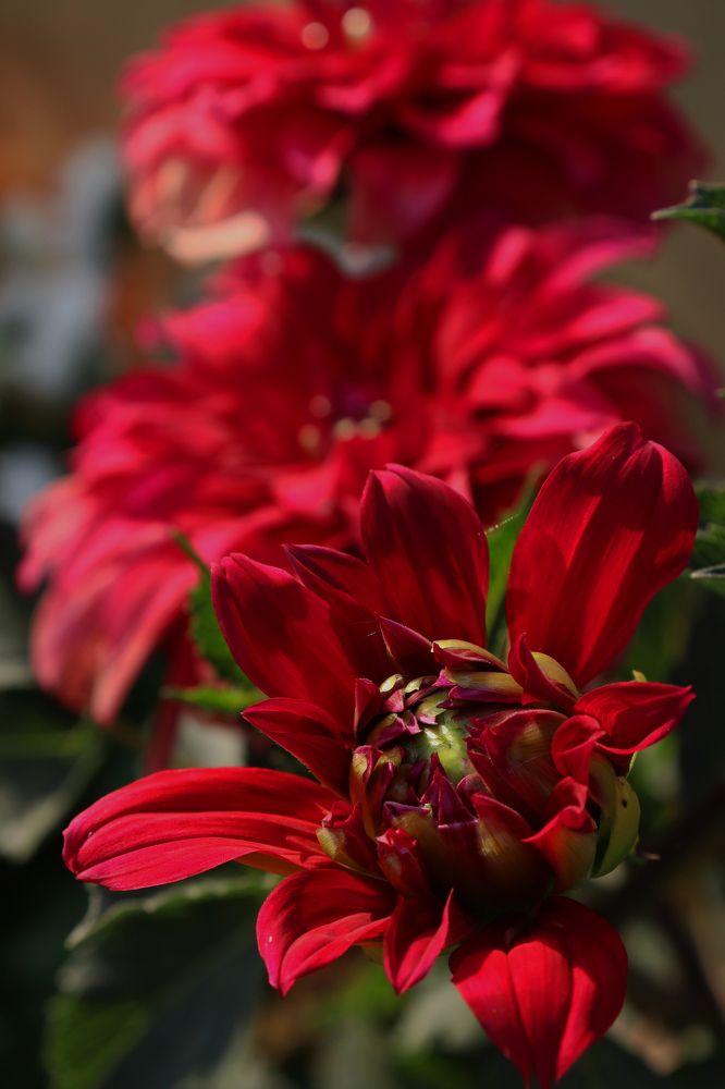 Photograph by Анна Горбунова