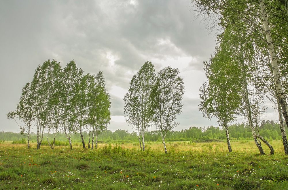 Photograph by Ольга Литвинцева