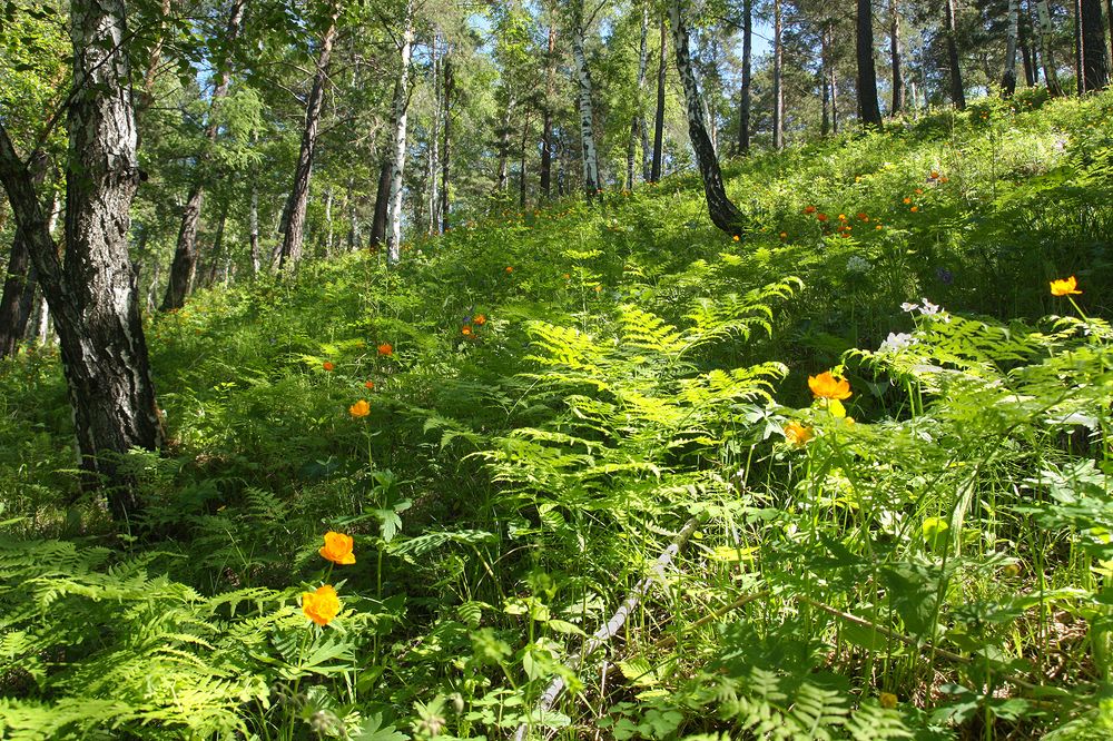 Photograph by Ольга Литвинцева