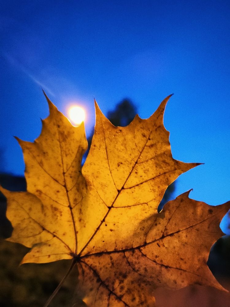 Photograph by Александр Кокурин