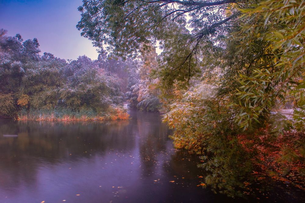 Photograph by Виктор Саврей