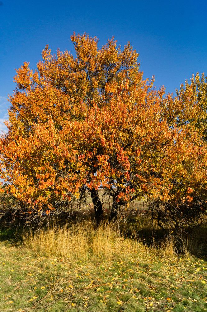 Photograph by Vlad Proshin
