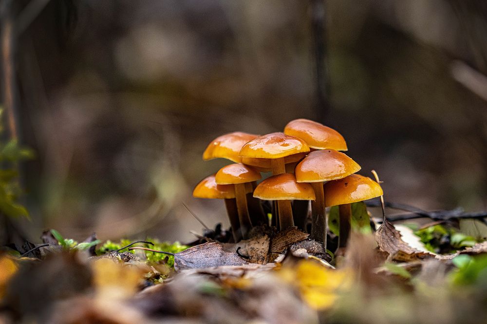 Photograph by Виктор