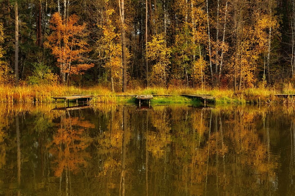 Photograph by Олег Раков