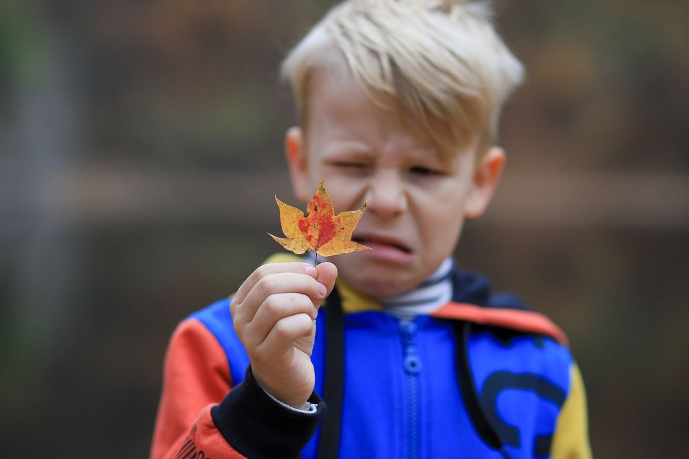 Фотография автора Александра Асаулко