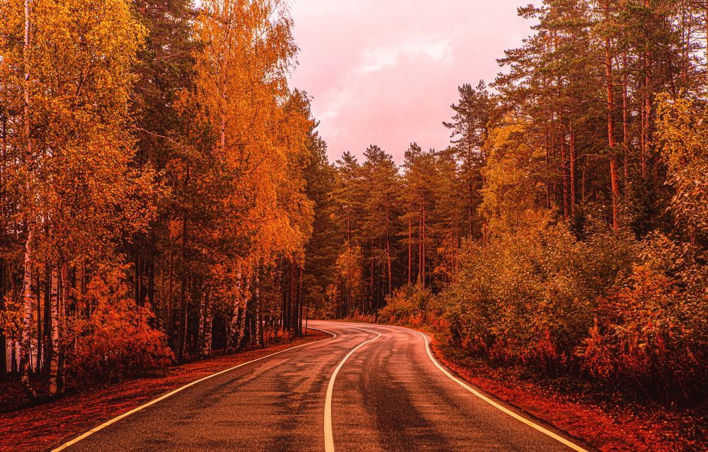 Photograph by Ольга Левакова