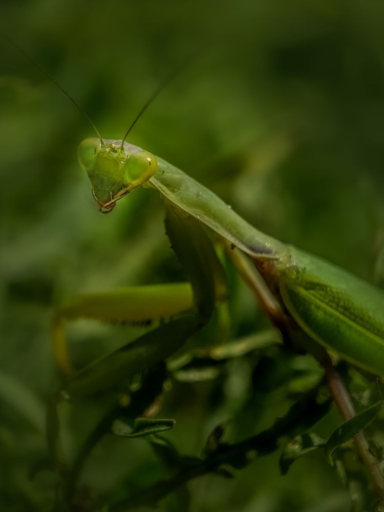 Photograph by Лариса Когтева