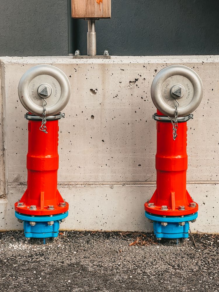 Photograph by Tatiana Chernaletskaya