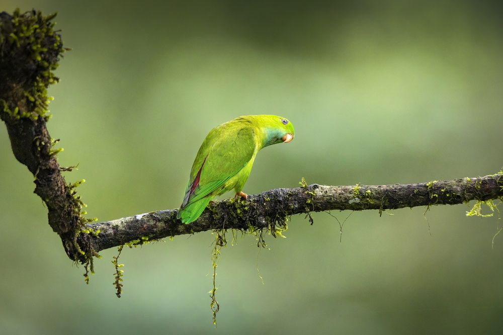 Photograph by k Ravi Reju