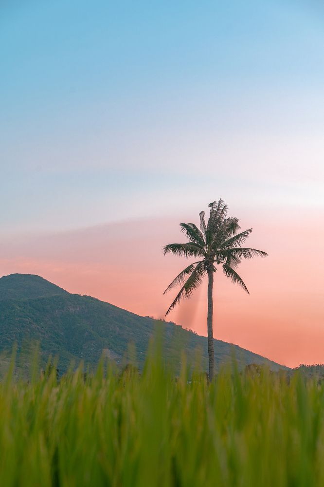 Фотография автора Dang Le