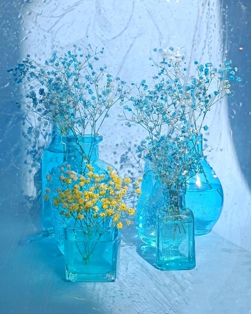 Photograph by Елена Бородина