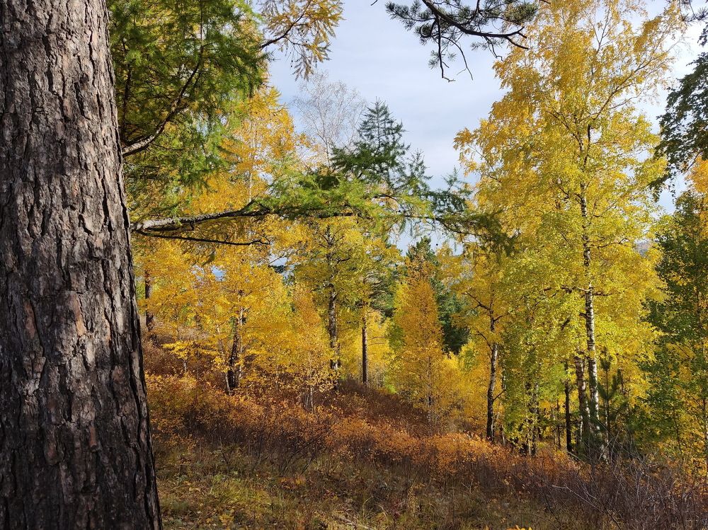 Photograph by Анжелика Лаврентьева