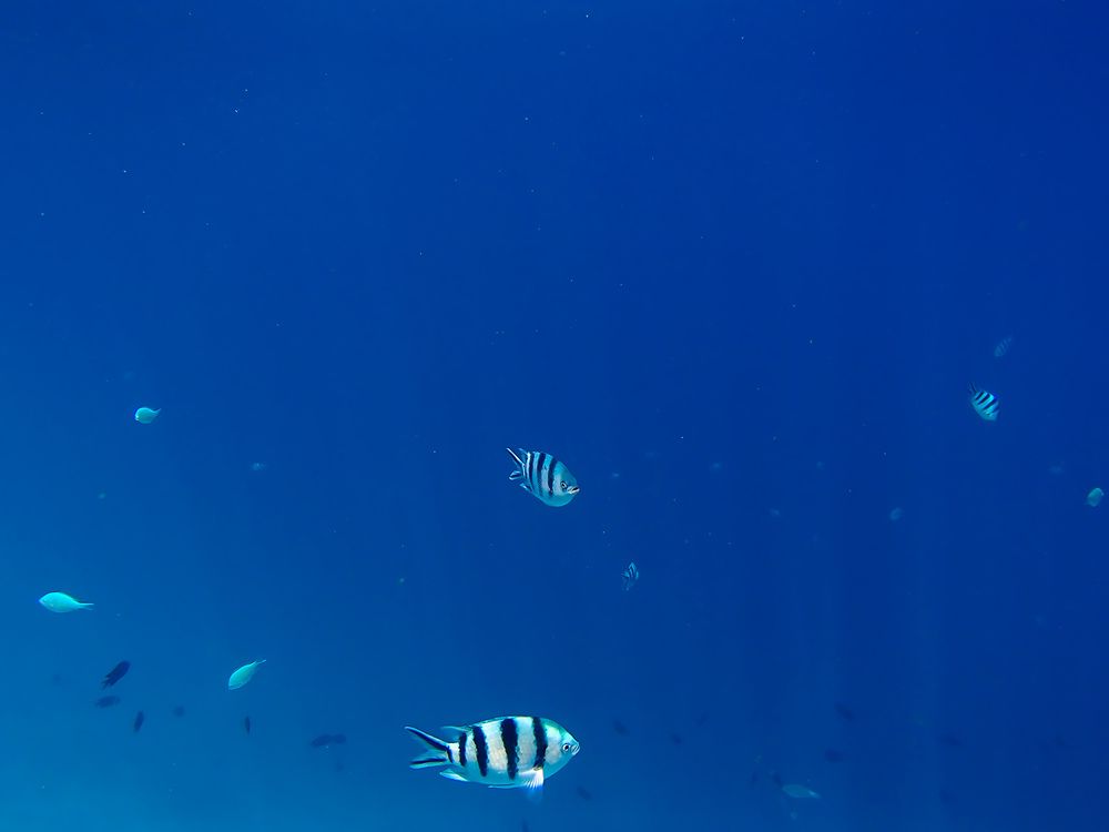 Photograph by Evgeniia Iakimenko