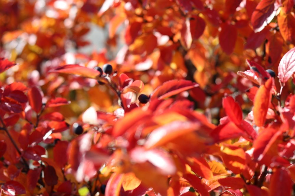 Photograph by Влад Барышов