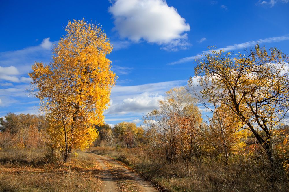 Photograph by Антон Андриянов