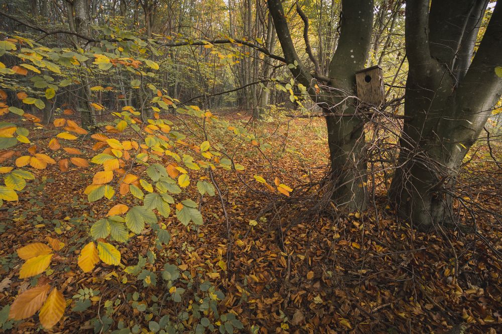 Фотография автора Владислав Марухин